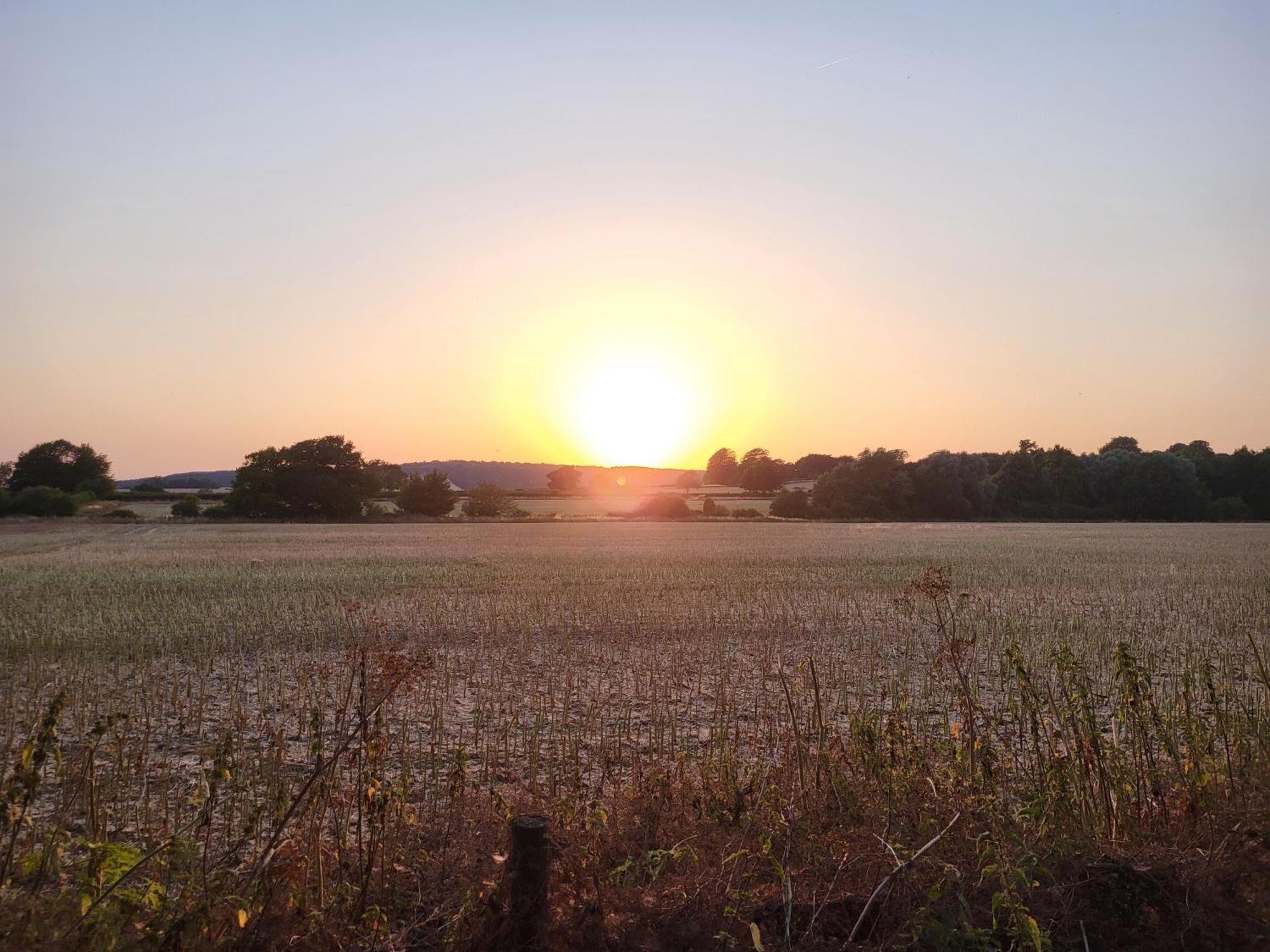 Unique & Rural Child Friendly Annexe With Large Gardens, Games & Tennis Court - Chichester Holiday Properties Kültér fotó