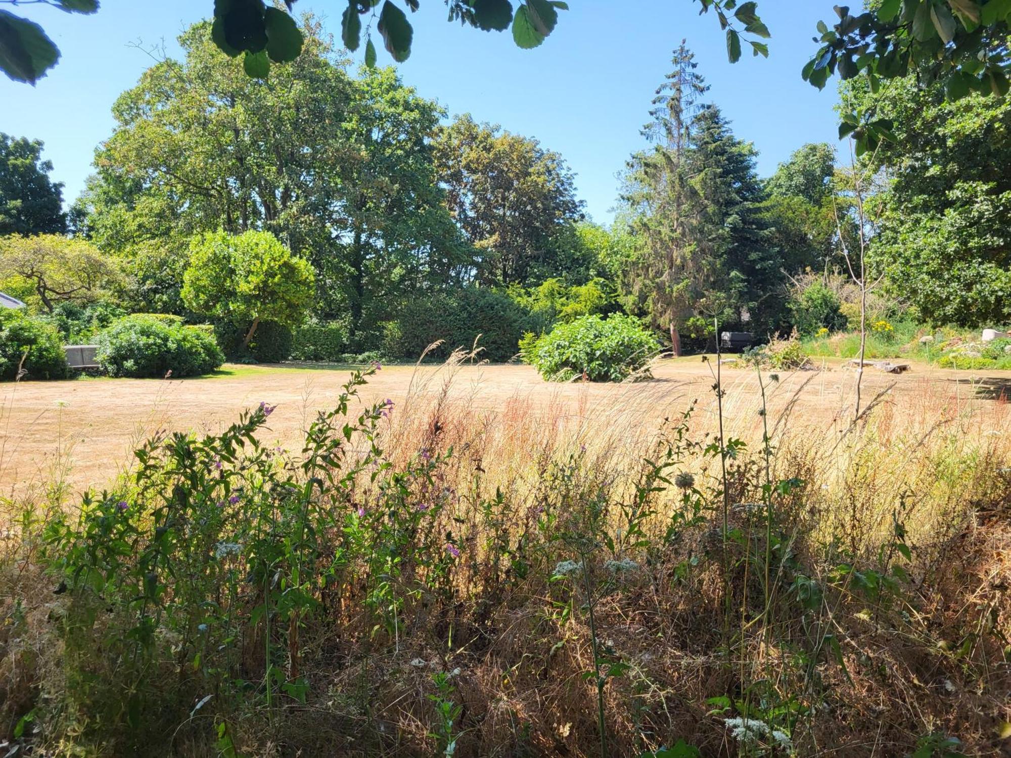 Unique & Rural Child Friendly Annexe With Large Gardens, Games & Tennis Court - Chichester Holiday Properties Kültér fotó