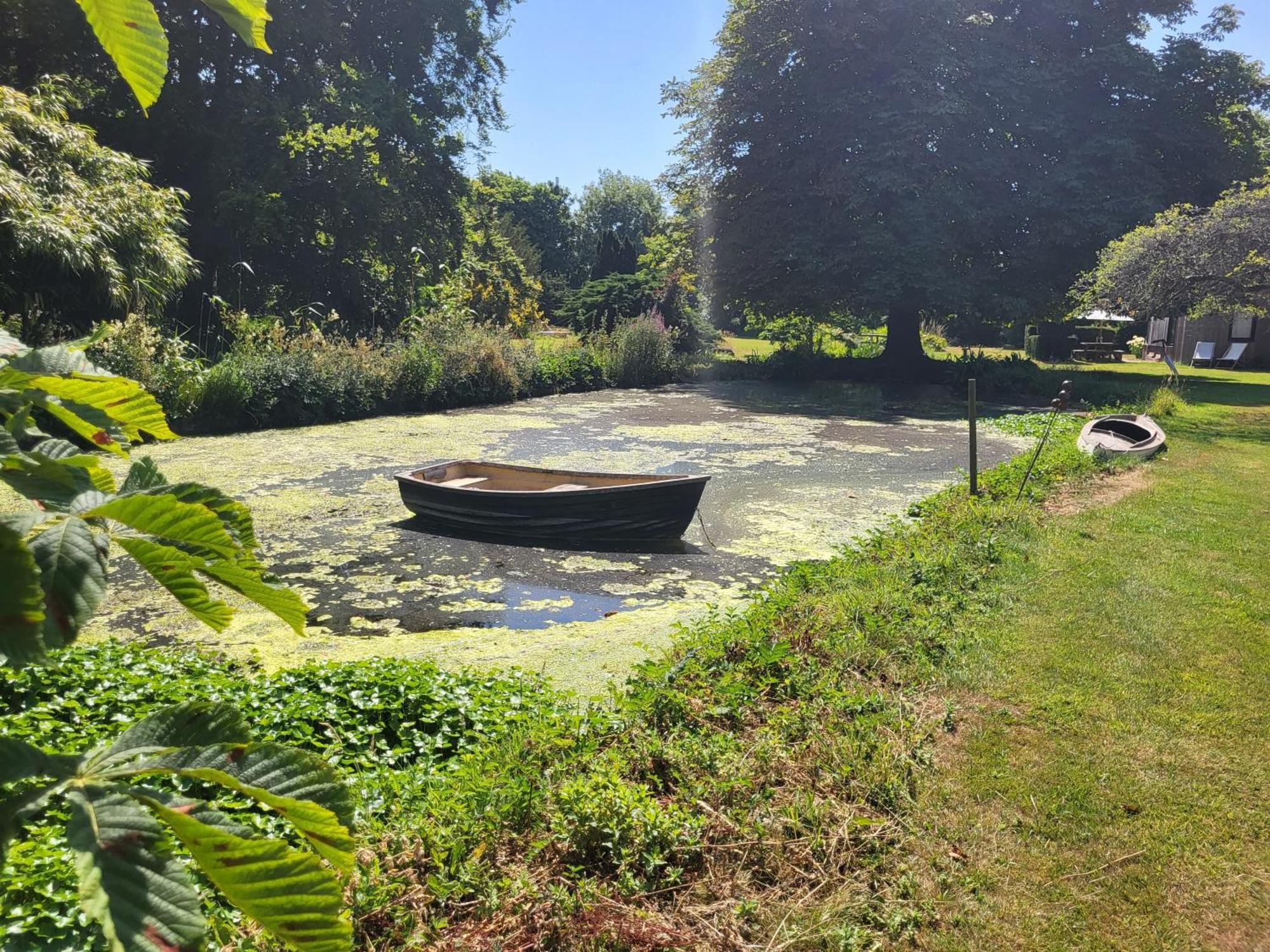 Unique & Rural Child Friendly Annexe With Large Gardens, Games & Tennis Court - Chichester Holiday Properties Kültér fotó