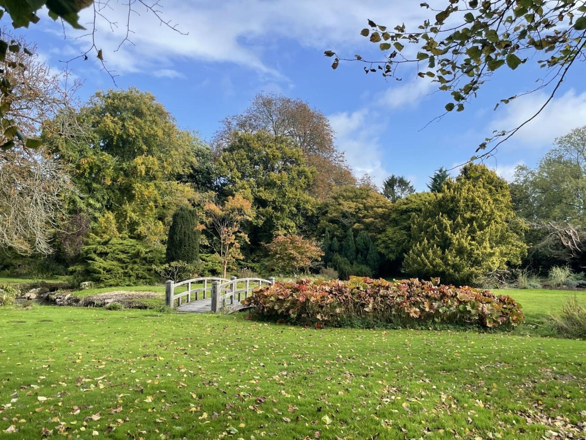 Unique & Rural Child Friendly Annexe With Large Gardens, Games & Tennis Court - Chichester Holiday Properties Kültér fotó
