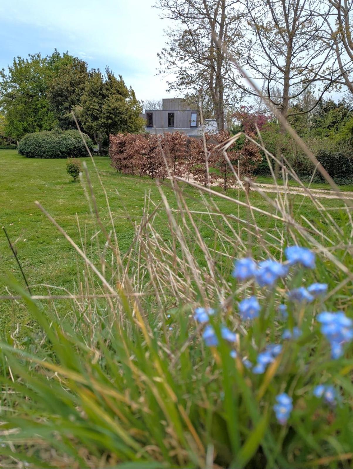 Unique & Rural Child Friendly Annexe With Large Gardens, Games & Tennis Court - Chichester Holiday Properties Kültér fotó