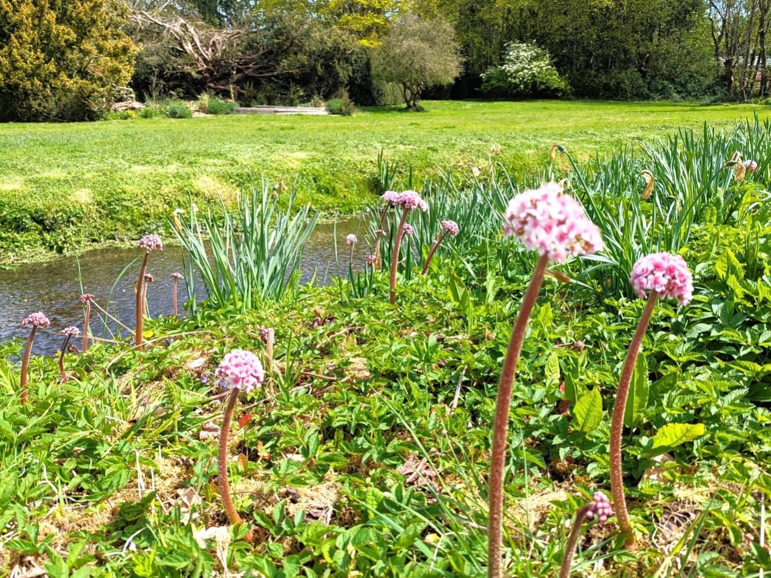 Unique & Rural Child Friendly Annexe With Large Gardens, Games & Tennis Court - Chichester Holiday Properties Kültér fotó