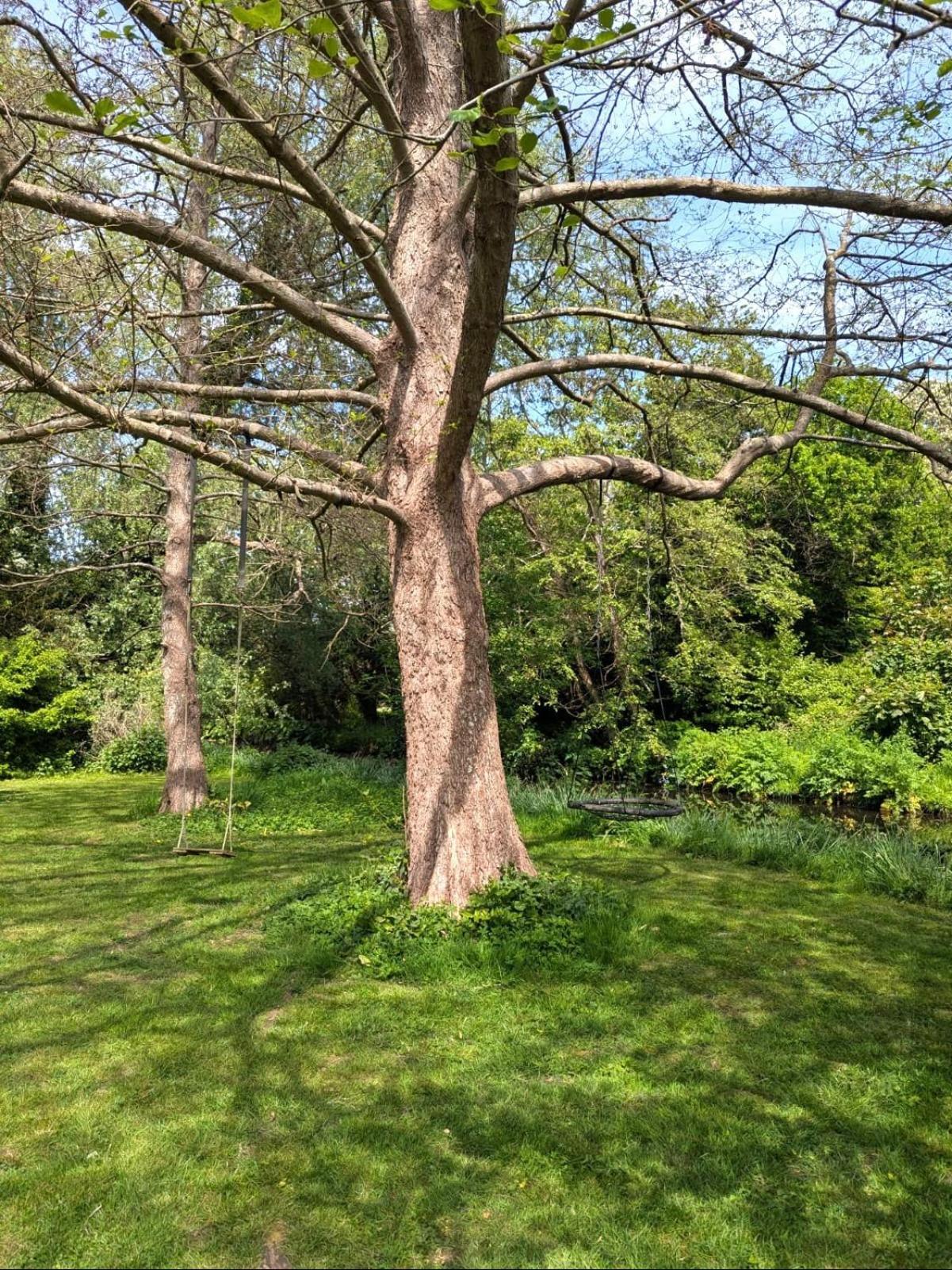 Unique & Rural Child Friendly Annexe With Large Gardens, Games & Tennis Court - Chichester Holiday Properties Kültér fotó