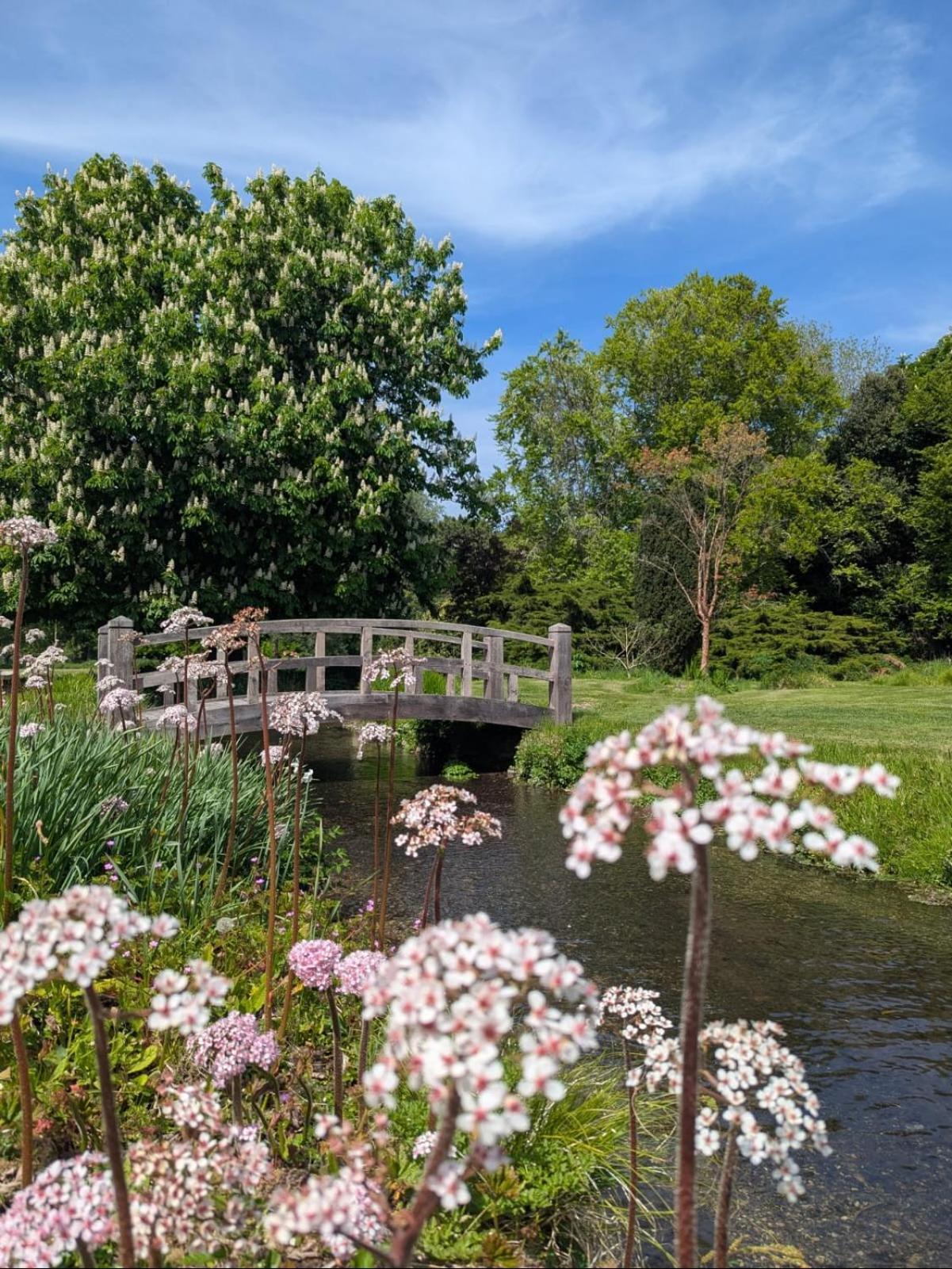 Unique & Rural Child Friendly Annexe With Large Gardens, Games & Tennis Court - Chichester Holiday Properties Kültér fotó